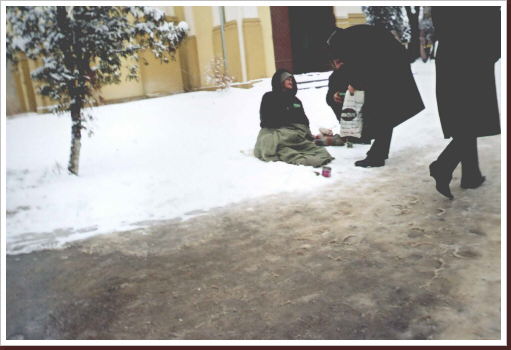 Klicken Sie auf das Bild, um es zu vergr&ouml;&szlig;ern